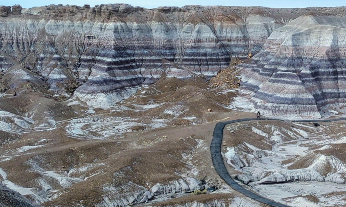 Sweeping view of the Blue Mesa Trail cutting through layered clay hills in Petrified Forest National Park, rich in color and texture.